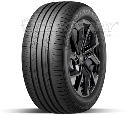 Pneumatiky DUNLOP Grandtrek PT30 225/60 R18 100H