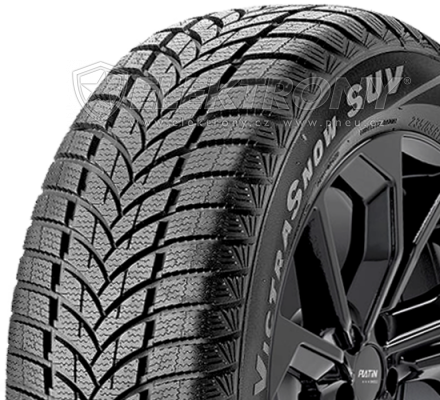 Pneumatiky Maxxis MA-SW Wintermaxx 255/65 R16 109H