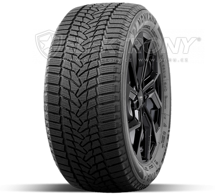 Pneumatiky Nankang Ice Activa Ice 2