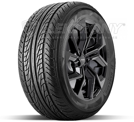 Pneumatiky NANKANG Toursport XR-611