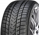Gripmax Pro Winter 285/40 R22 110V